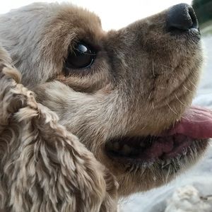 Meet your Posher, Mark